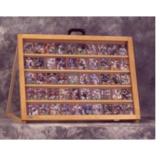 Table Top Card Display Case / Trade Show Case / 1/2 / Full Portable Table Top    391029937114